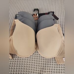 NOBO Women's Beige and Gray Bras Set of 3